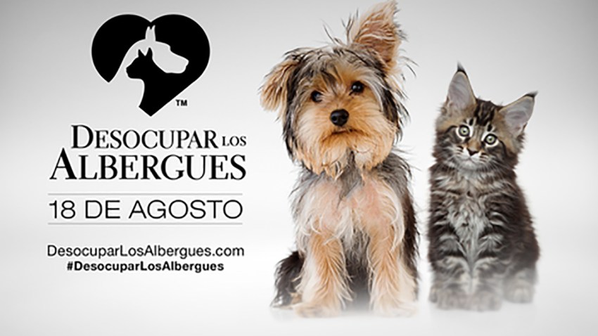 ALBERGUES_DENVER