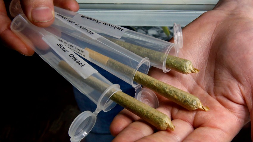 Campaign 2016 Marijuana Emerald Triangle