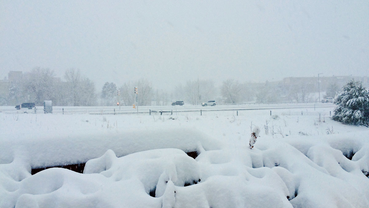 ¿Dónde cayó la mayor parte de la nieve? Telemundo Denver