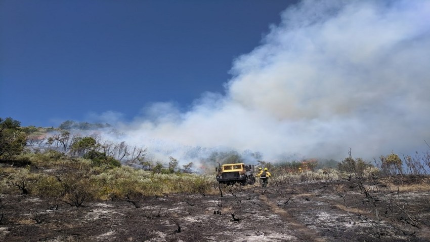 Incendio Routt