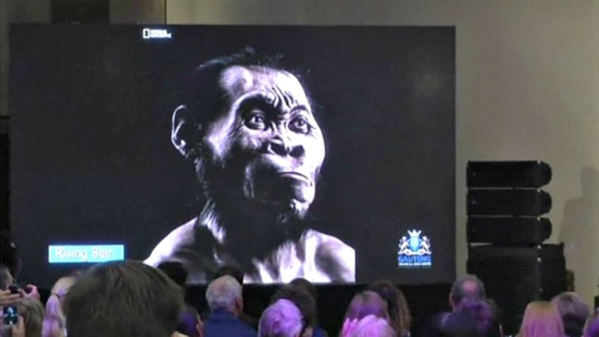 TLMd-evolucion-del-hombre-humano--homo-naledi-ancestro