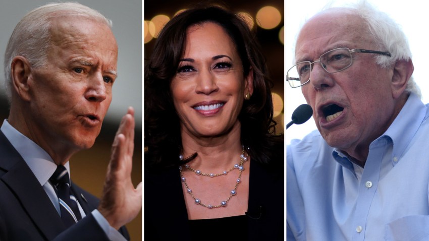 biden-harris-sanders-democratas-despegan