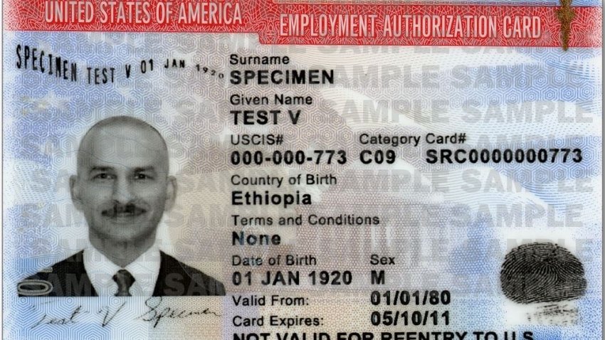 employment authorization card current uscus