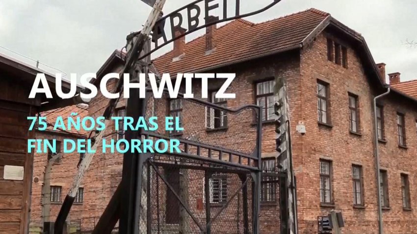 Sobrevivientes narran los horrores del Holocausto