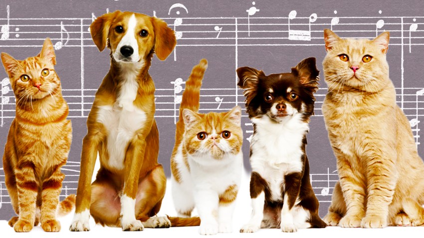 mascomusic