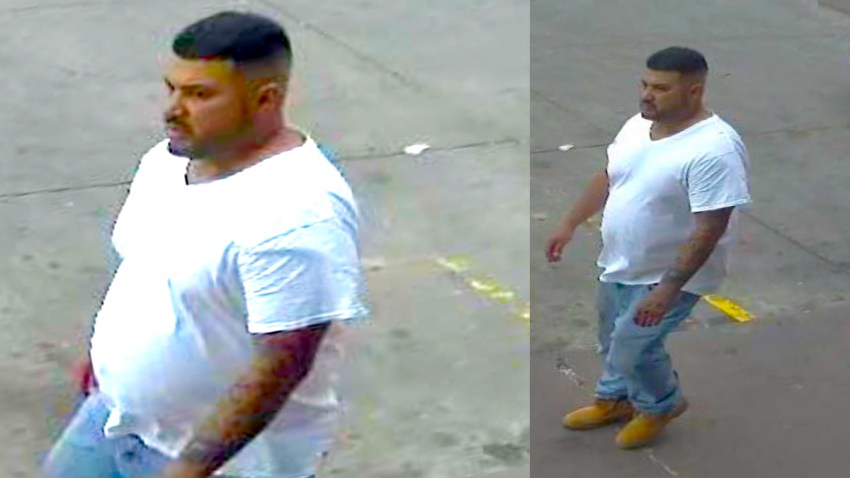 suspect221