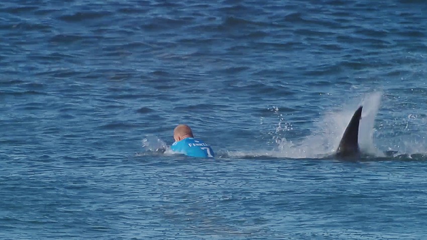 tiburon-ataca-a-surfista