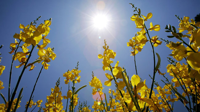 tlmd_0310_spring_gi