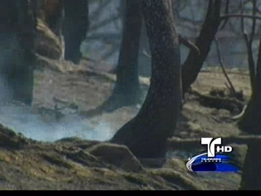 tlmd_incendioco3_133311988874101