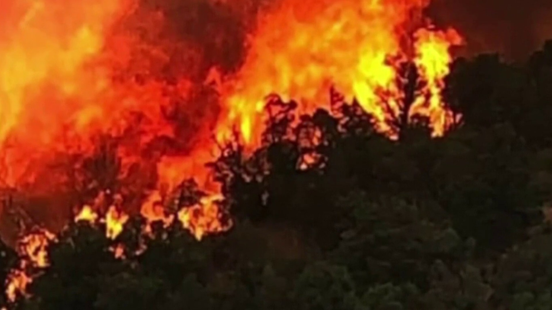 El incendio Pine Gulch continúa ardiendo muy cerca de Grand ...