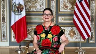 Embajadora de México en EEUU flanqueada por las banderas de los dos países