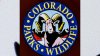 Conozca el animal que representa al estado de Colorado desde 1961