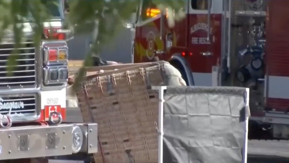 Mueren en globo aeroestático en Alburquerque – Telemundo Denver - Vimarsana News