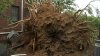 Centros de recolección de escombros y ramas tras fuertes vientos en Colorado