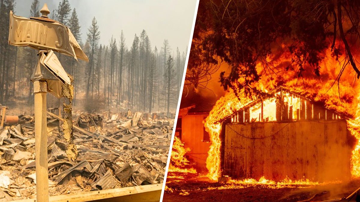 Incendio Dixie sigue ardiendo en California tras un mes – Telemundo Denver - Vimarsana News