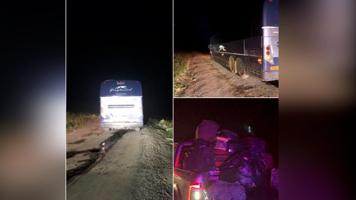 Múltiples personas a bordo de un autobús Greyhound quedaron atrapadas en las montañas de Colorado – Telemundo Denver - Vimarsana News