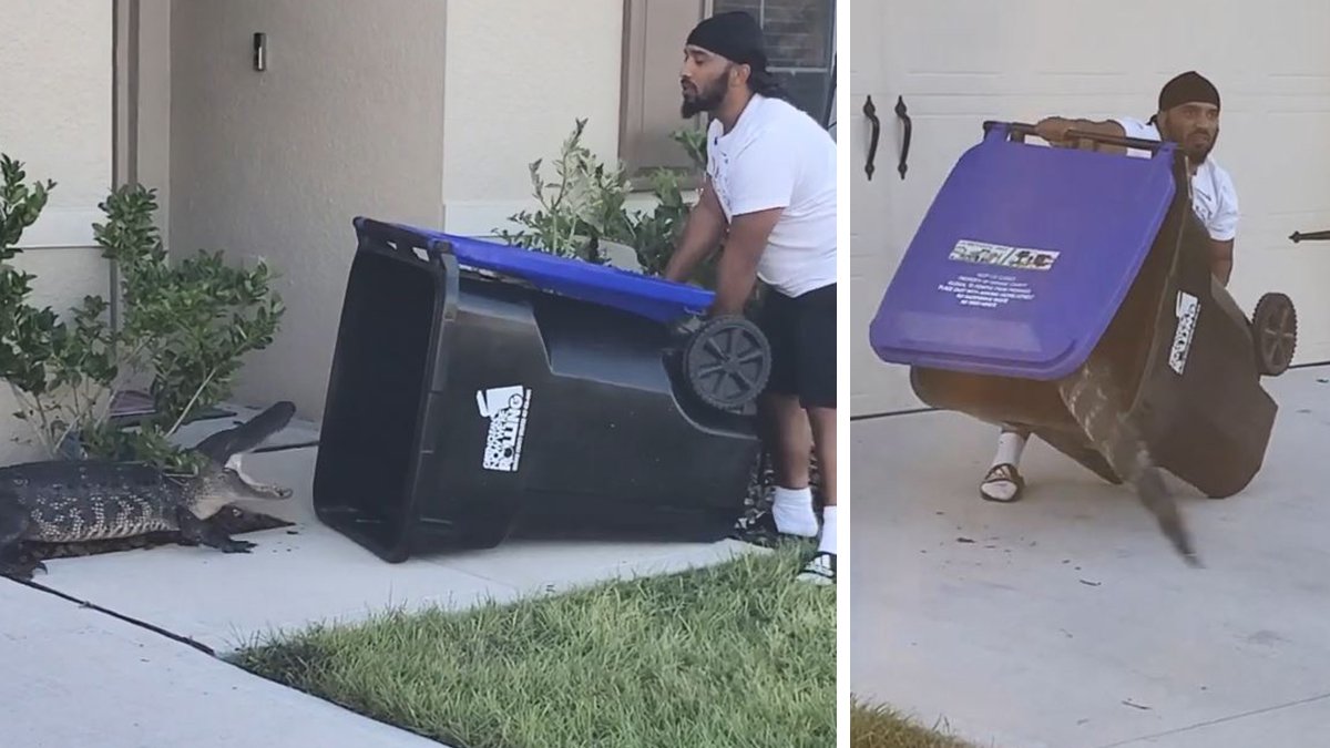 Condado Orange: "recordatorio, los caimanes no son reciclables" – Telemundo Denver - Vimarsana News