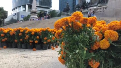 México: preparativos para Día de Muertos – Telemundo Denver