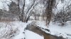 Avisos y advertencias por condiciones invernales en gran parte de Colorado; incluido Denver