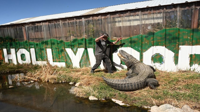 Morris, una estrella de Hollywood que vive actualmente en Colorado
