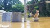 Animales afectados por inundaciones en Kentucky: al menos 25 perros llegan a Colorado