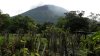 Miles en alerta por erupción de volcán en El Salvador; autoridades señalan que “no hay peligro”