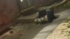 Familia hispana halla a bebé recién nacido abandonado en la puerta de su casa