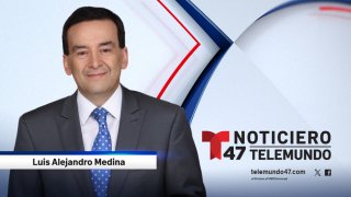 T47_LuisMedina_ WebProfile