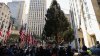 ¡Llegó el día! Hoy encienden el árbol de Navidad del Rockefeller Center 2023: lo que debes saber