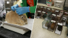 Rescatan 32 conejos encontrados en casa de Colorado