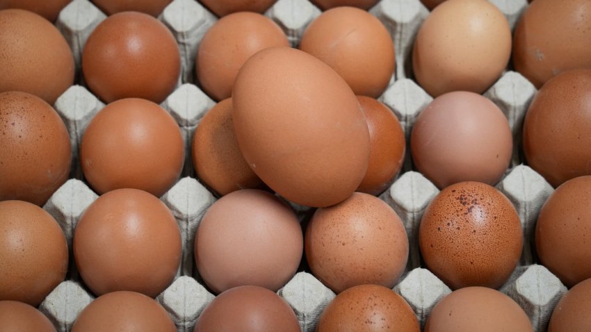 Unstamped brown eggs.