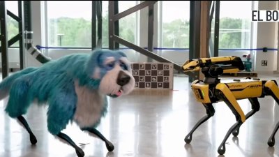 Impresionante perro robótico muestra su lado mas tierno: El Boost