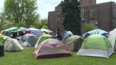 Nuevas protestas a favor de palestina en campus de Universidades de Denver