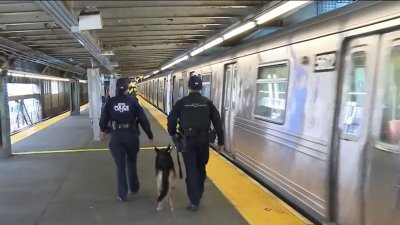 La historia de los oficiales hispanos que entrenan a perros policías K9 en Nueva York