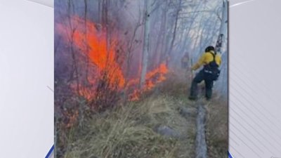 Incendio en Middle Creek cerca de Frisco consume 1.3 acres de vegetación