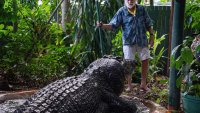 El cocodrilo más grande del mundo fallece en un centro de animales en Australia