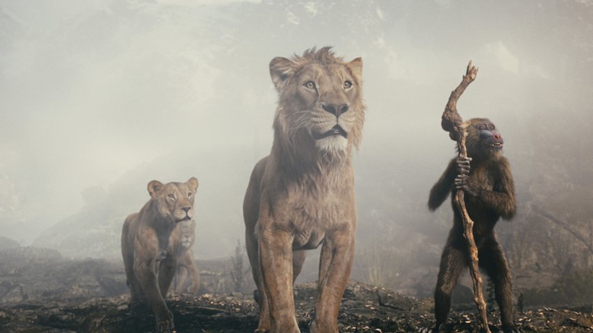 (L-R): Sarabi (voiced by Tiffany Boone), Taka (voiced by Kelvin Harrison Jr.), Mufasa (voiced by Aaron Pierre), and Rafiki (voiced by Kagiso Lediga) in Disney’s live-action MUFASA: THE LION KING. Photo courtesy of Disney. © 2024 Disney Enterprises Inc. All Rights Reserved.