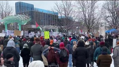 Protesta en Aurora: inmigrantes alzan su voz contra las políticas de Trump