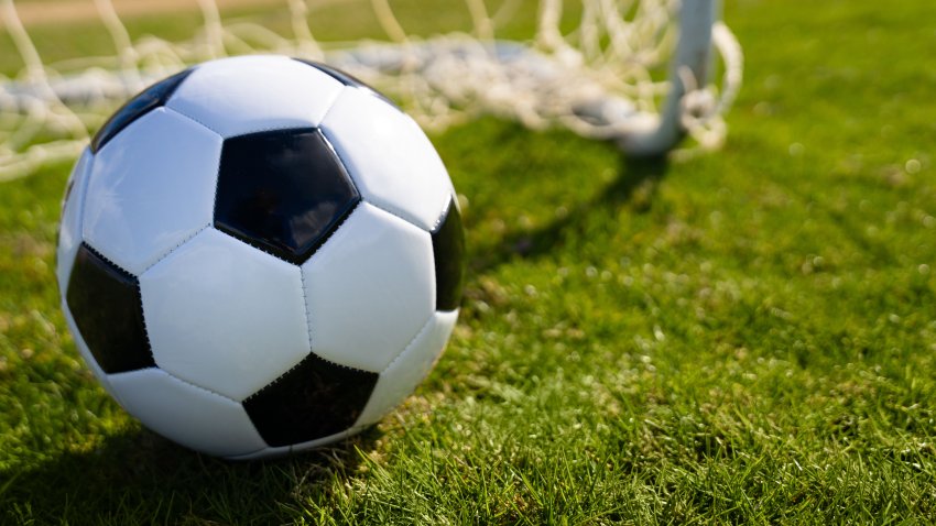 A soccer ball  on the grass in the field by the net