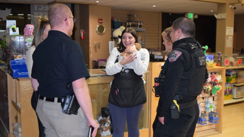 Esta fotografía del lunes 24 de febrero de 2025 publicada por el Departamento de Policía del condado de Arapahoe, muestra a una empleada de la tienda de mascotas Perfect Pets mientras sostiene uno de los dos cachorros de bulldog que fueron robados de la tienda, en Centennial, Colorado. (Departamento de Policía del condado de Arapahoe vía AP)