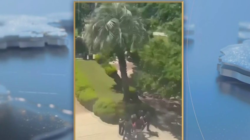 Revelan más imágenes tras tiroteo en campus de la FSU; el sospechoso fue arrestado