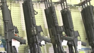 Jueces podrían prohibir porte de armas para ladrones de autos