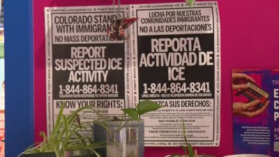 Ice continúa haciendo operaciones en negocios pidiendo por I-9 de empleados