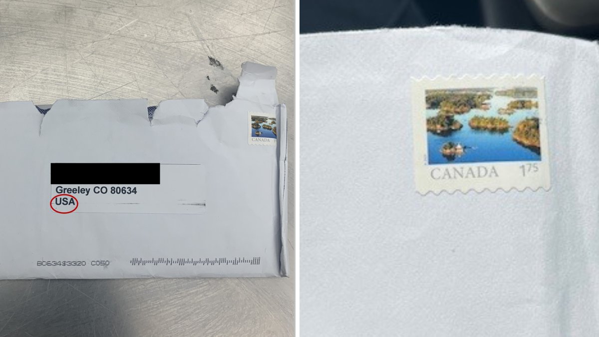 Residentes de Greeley reciben correo con material de abuso infantil – Telemundo Denver