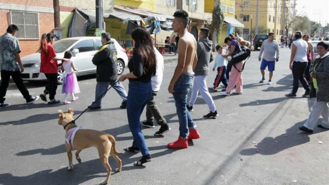 Sin daños en Oaxaca por sismo de 4.9 grados este martes