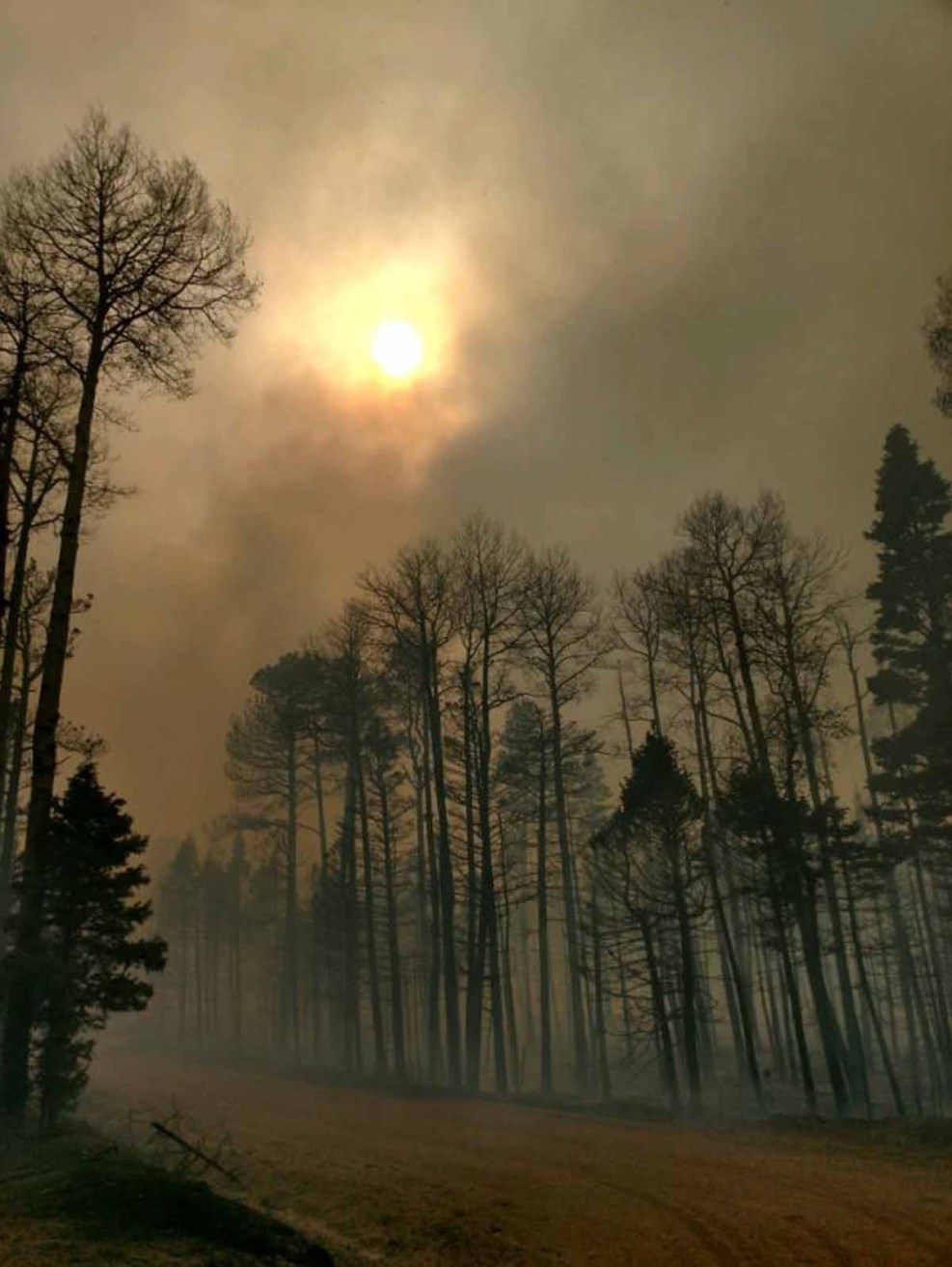 9_Incendios_Colorado_julio.jpg
